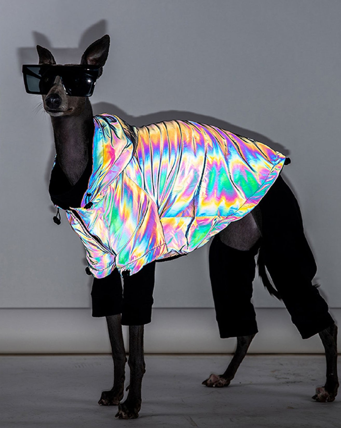 Cosmic Pooch Reflective Puffer Jacket Raincoat