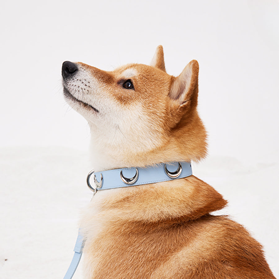 Lunar Charm Dog Collar