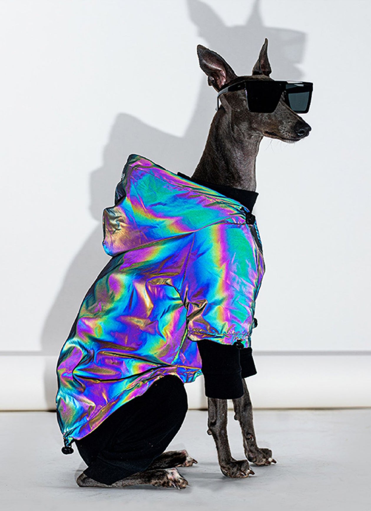 Cosmic Pooch Reflective Puffer Jacket Raincoat