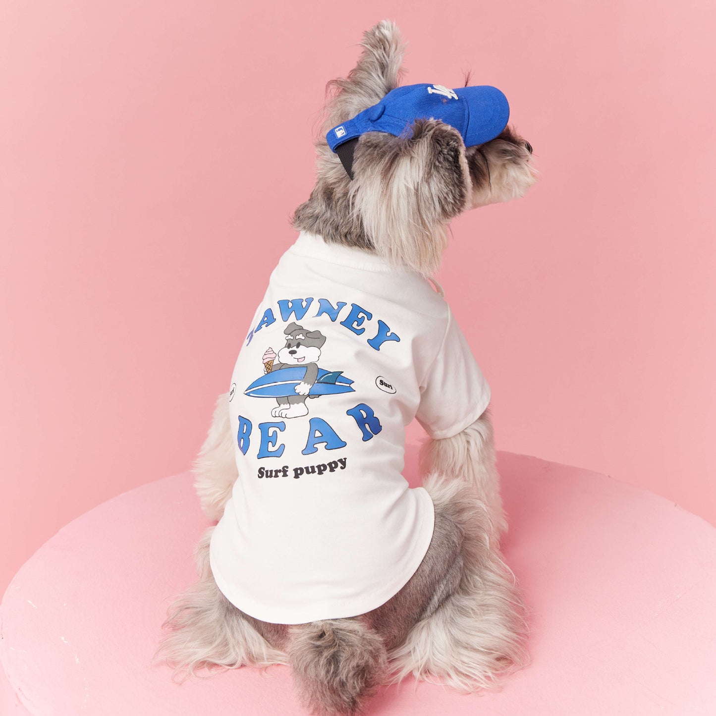 Pooch's Trendy Tee & Denim Backpack Combo