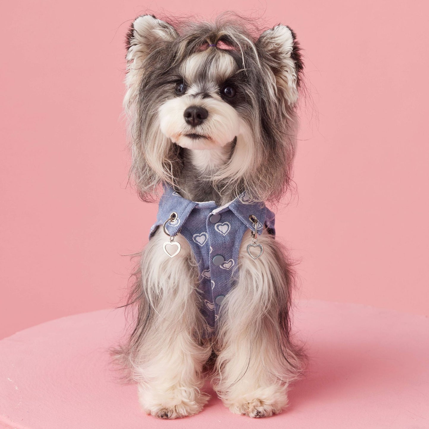 Denim Sleeveless Dog Vest With Heart Accents