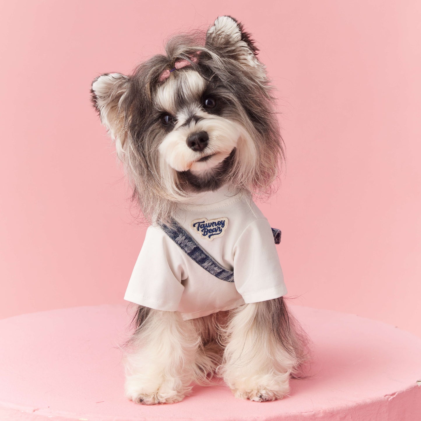 Pooch's Trendy Tee & Denim Backpack Combo