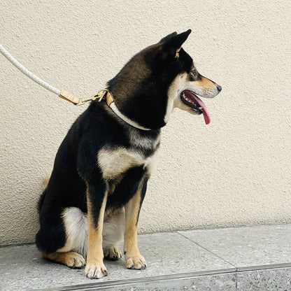 Luxury Handcrafted Suede Dog Collar