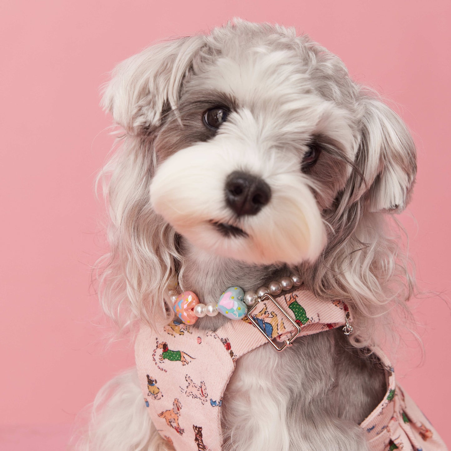 Chic Heart-Shaped Bead Dog Necklace