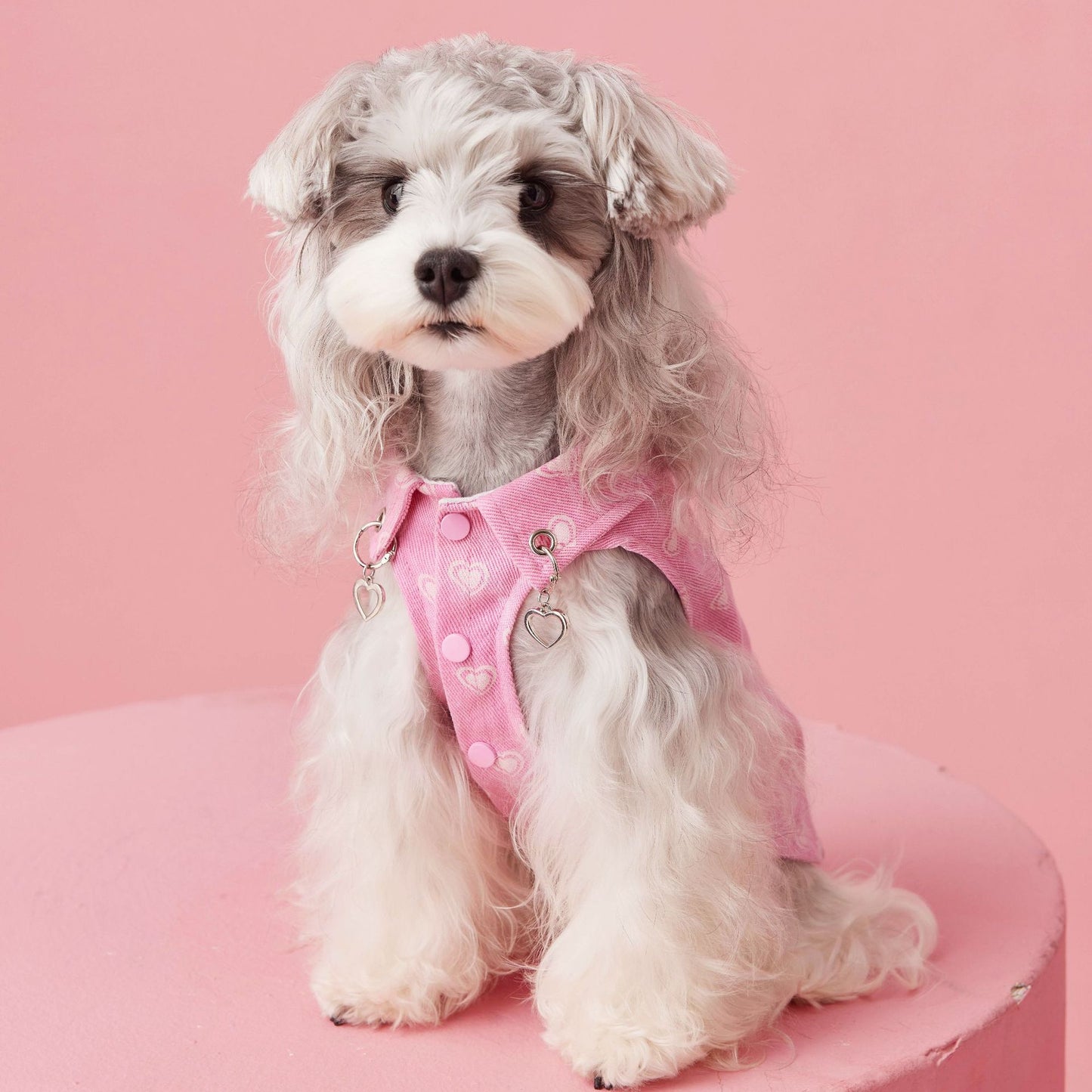 Denim Sleeveless Dog Vest With Heart Accents