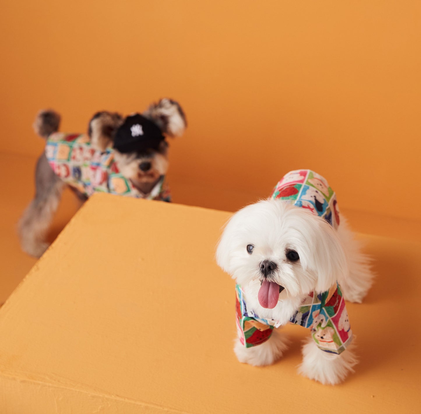 Hawaiian Dog Polo Shirt With Cute Dog Pattern