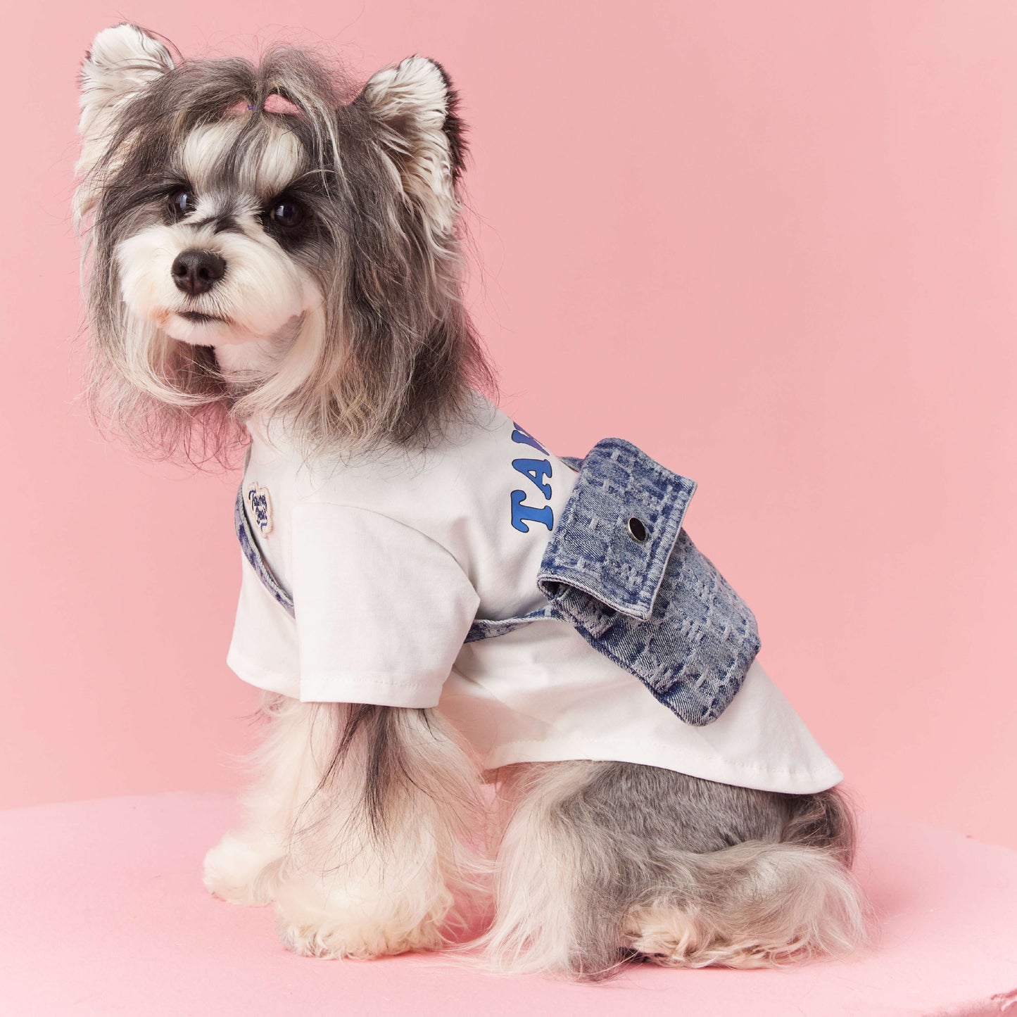 Pooch's Trendy Tee & Denim Backpack Combo